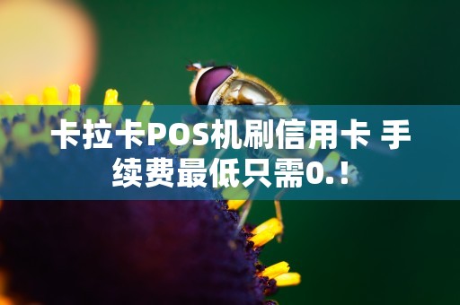 卡拉卡POS机刷信用卡 手续费最低只需0.！