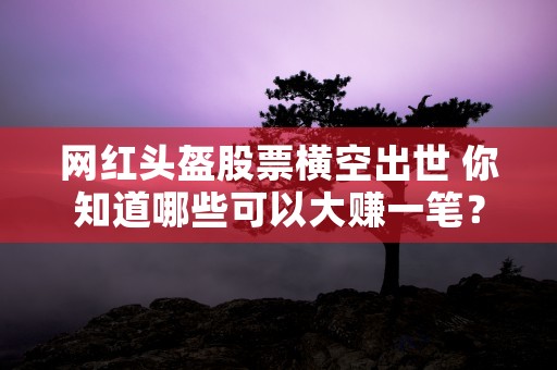 网红头盔股票横空出世 你知道哪些可以大赚一笔？