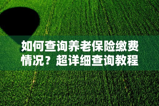 如何查询养老保险缴费情况？超详细查询教程 不再困惑！