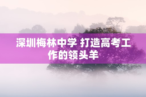 深圳梅林中学 打造高考工作的领头羊