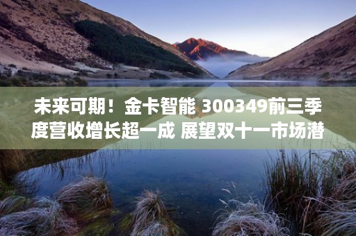 未来可期！金卡智能 300349前三季度营收增长超一成 展望双十一市场潜力巨大！