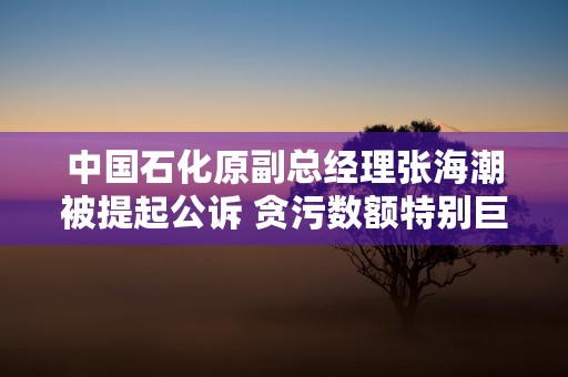 中国石化原副总经理张海潮被提起公诉 贪污数额特别巨大！