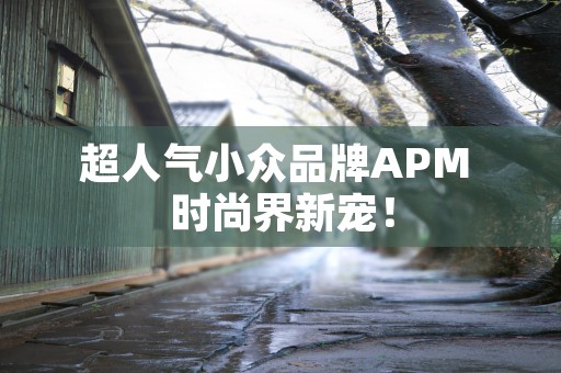 超人气小众品牌APM 时尚界新宠！