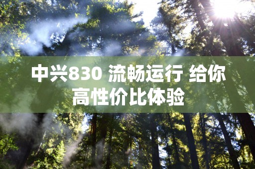 中兴830 流畅运行 给你高性价比体验