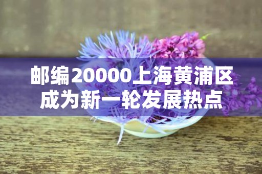 邮编20000上海黄浦区成为新一轮发展热点