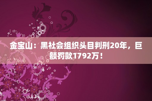 金宝山：黑社会组织头目判刑20年，巨额罚款1792万！