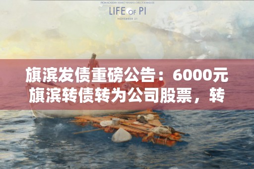 旗滨发债重磅公告：6000元旗滨转债转为公司股票，转股股数是……