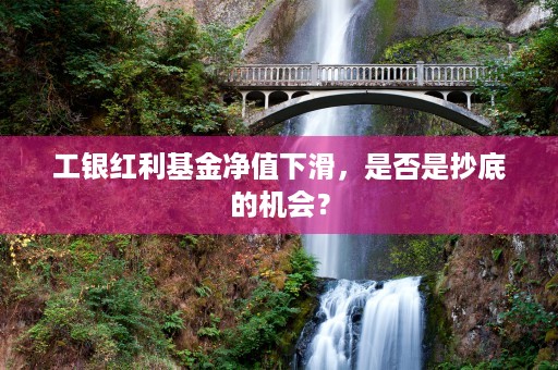 工银红利基金净值下滑，是否是抄底的机会？