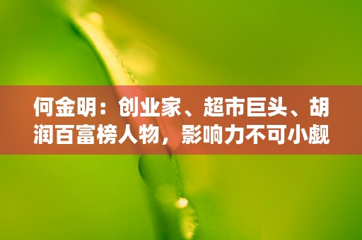 何金明：创业家、超市巨头、胡润百富榜人物，影响力不可小觑！