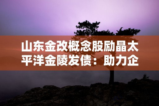 山东金改概念股励晶太平洋金陵发债：助力企业转型升级，引爆投资热潮！