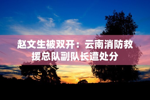 赵文生被双开：云南消防救援总队副队长遭处分