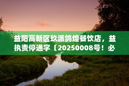 益阳高新区玖派鸽煌餐饮店，益执责停通字〔20250008号！必看！