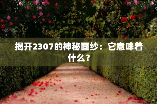 揭开2307的神秘面纱：它意味着什么？