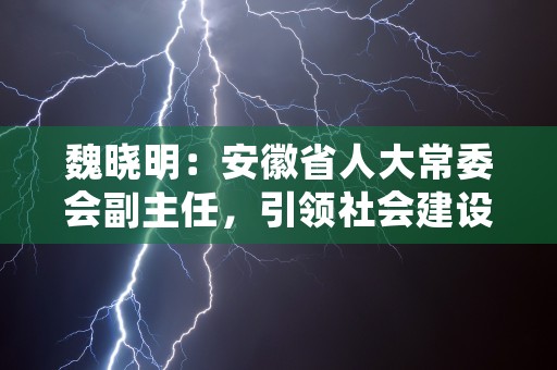 魏晓明：安徽省人大常委会副主任，引领社会建设发展