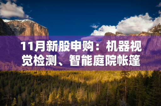 11月新股申购：机器视觉检测、智能庭院帐篷、通信技术等热门主题引领市场