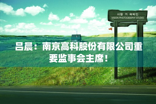 吕晨：南京高科股份有限公司重要监事会主席！