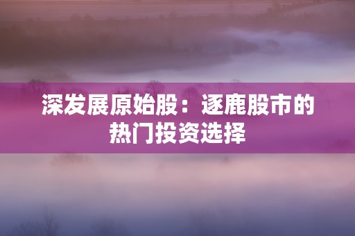 深发展原始股：逐鹿股市的热门投资选择