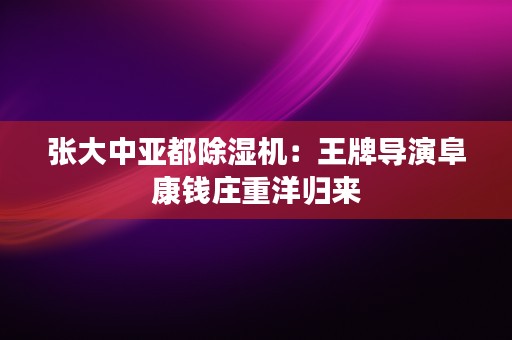 张大中亚都除湿机：王牌导演阜康钱庄重洋归来