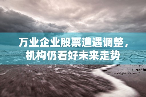 万业企业股票遭遇调整，机构仍看好未来走势