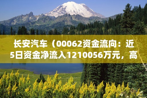 长安汽车（00062资金流向：近5日资金净流入1210056万元，高于行业平均水平