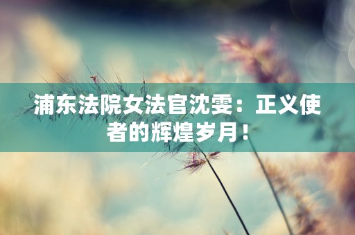 23422726黄劲：湖南省人民检察院党组成员、副检察长