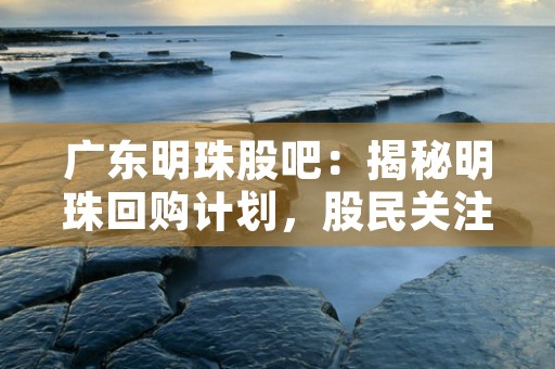 广东明珠股吧：揭秘明珠回购计划，股民关注度高涨！