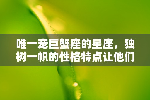 梦见迷路了是什么预兆，如何解读这个梦境的隐含意义