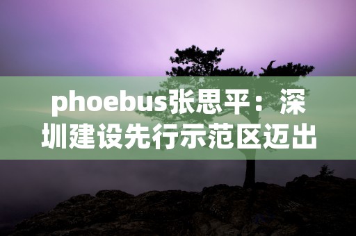 phoebus张思平：深圳建设先行示范区迈出新步伐！