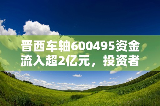 晋西车轴600495资金流入超2亿元，投资者提前布局有何深意？