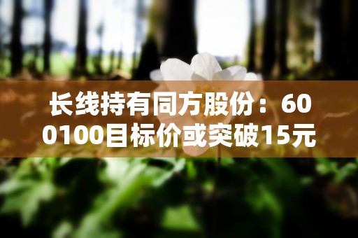 长线持有同方股份：600100目标价或突破15元！