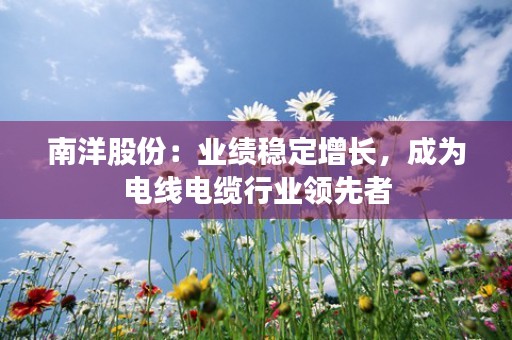 南洋股份：业绩稳定增长，成为电线电缆行业领先者