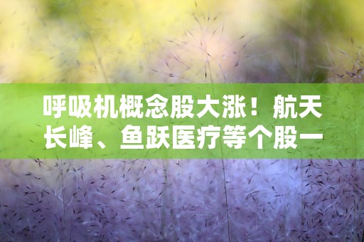 呼吸机概念股大涨！航天长峰、鱼跃医疗等个股一度涨停