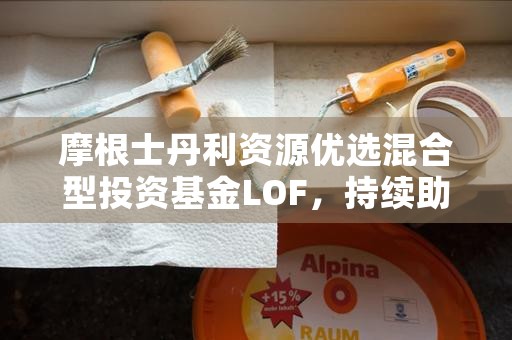 摩根士丹利资源优选混合型投资基金LOF，持续助你实现投资回报！