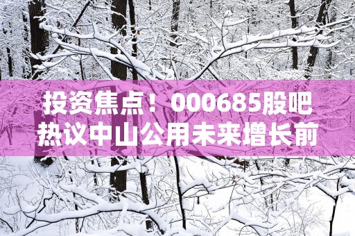 投资焦点！000685股吧热议中山公用未来增长前景！