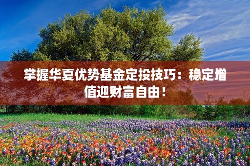 掌握华夏优势基金定投技巧：稳定增值迎财富自由！