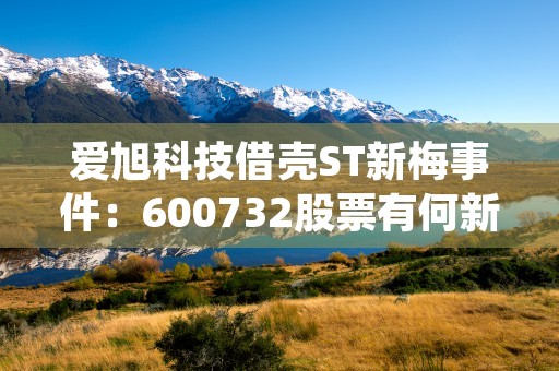 爱旭科技借壳ST新梅事件：600732股票有何新动向？