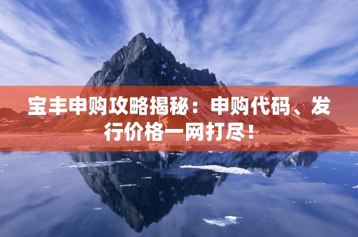 宝丰申购攻略揭秘：申购代码、发行价格一网打尽！