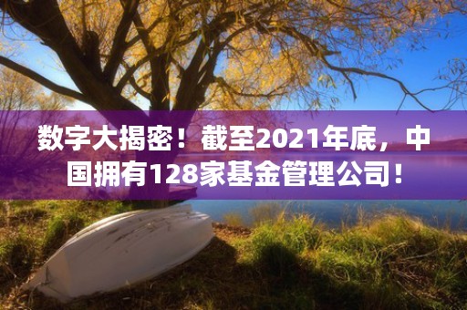 数字大揭密！截至2021年底，中国拥有128家基金管理公司！