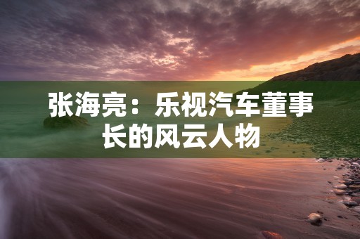 张海亮：乐视汽车董事长的风云人物