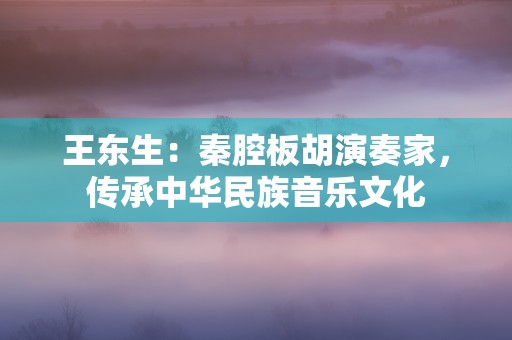 王东生：秦腔板胡演奏家，传承中华民族音乐文化