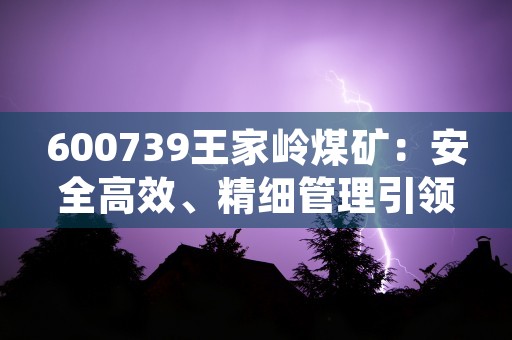 600739王家岭煤矿：安全高效、精细管理引领煤炭产业发展！