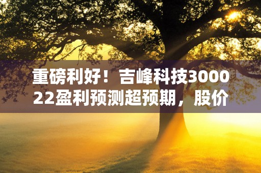 重磅利好！吉峰科技300022盈利预测超预期，股价迎来高潮！