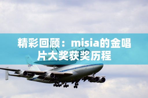 精彩回顾：misia的金唱片大奖获奖历程