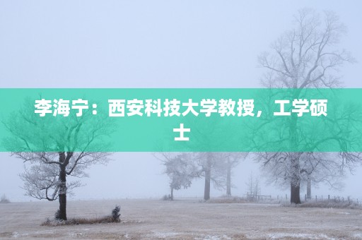 李海宁：西安科技大学教授，工学硕士