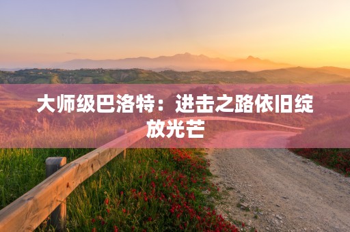 大师级巴洛特：进击之路依旧绽放光芒