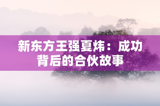 新东方王强夏炜：成功背后的合伙故事