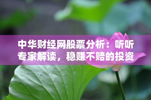 中华财经网股票分析：听听专家解读，稳赚不赔的投资策略！