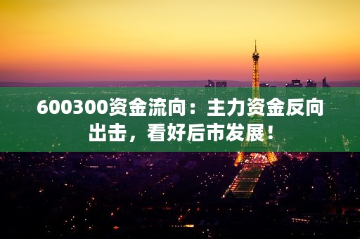 600300资金流向：主力资金反向出击，看好后市发展！