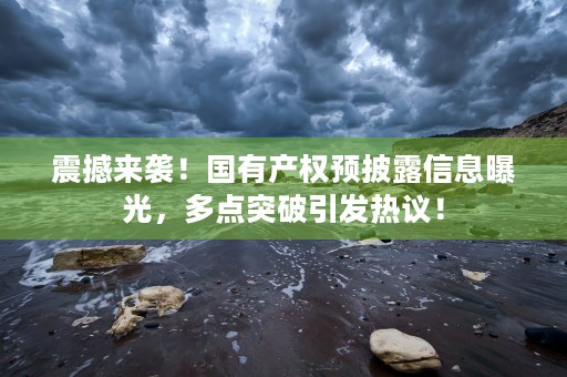 震撼来袭！国有产权预披露信息曝光，多点突破引发热议！