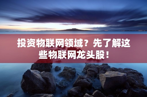 投资物联网领域？先了解这些物联网龙头股！